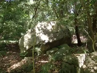 保久良神社の自然