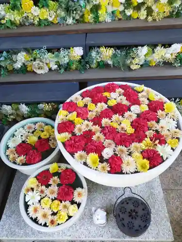 法輪寺(東京都)