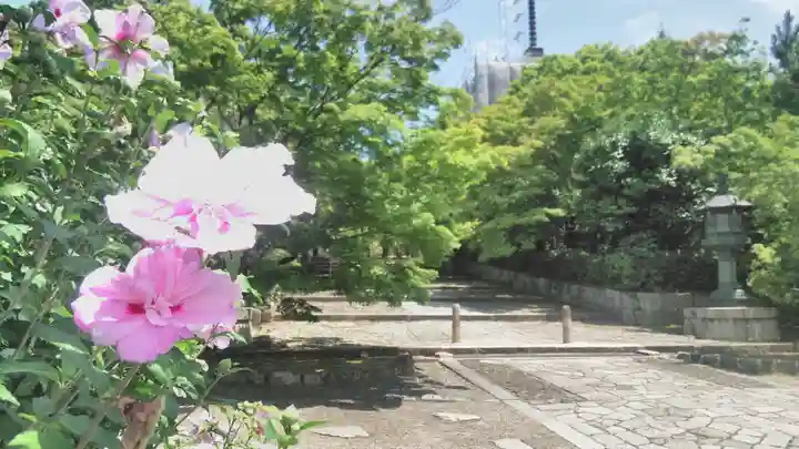 真正極楽寺(真如堂)の庭園