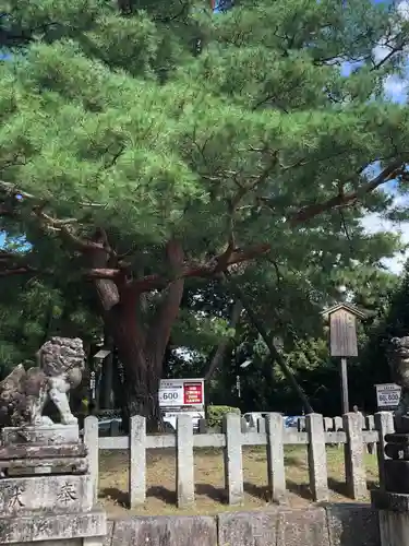北野天満宮(京都府)