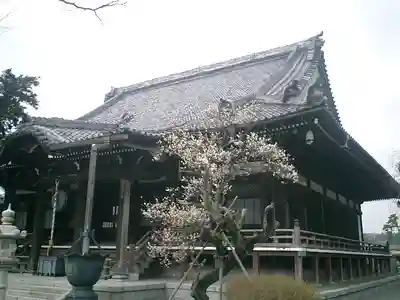 本覚寺の本殿・本堂