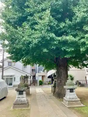 成田山不動大教会(東京都)