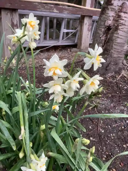 富部神社の自然