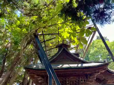 初鹿野諏訪神社(山梨県)