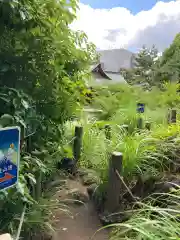 鳩森八幡神社(東京都)