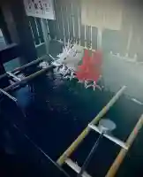 伊豆山神社(静岡県)