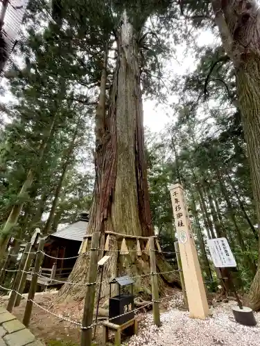鷲子山上神社の{uncategorized: "未分類", other: "その他", undefined: "問題あり", building: "その他建物", grave: "お墓", sacred_gate: "鳥居", guardian: "狛犬", statue: "像", buddha: "仏像", history: "歴史", nature: "自然", garden: "庭園", animal: "動物", pagoda: "塔", temizu: "手水舎", mountain_gate: "山門・神門", sanctuary: "本殿・本堂", subordinate: "末社・摂社", art: "芸術", scenery: "景色", jizo: "地蔵", ema: "絵馬", goshuin: "御朱印", omikuji: "おみくじ", items: "授与品その他", amulet: "お守り", goshuincho: "御朱印帳", eats: "食事", festival: "お祭り", votive_dance: "神楽", shichigosan: "七五三参", wedding: "結婚式", experience: "体験その他", initially: "初詣", around: "周辺", anti_infection: "感染症対策"}