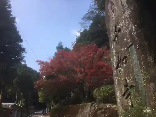 千如寺大悲王院の庭園