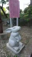 赤羽八幡神社の狛犬