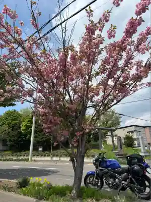 札幌南沢神社(北海道)