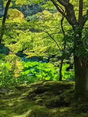 法金剛院(京都府)