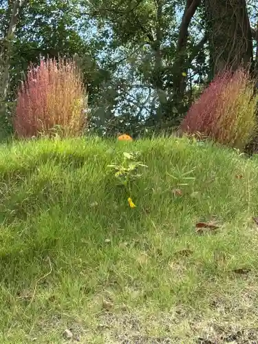 ほしいも神社(茨城県)