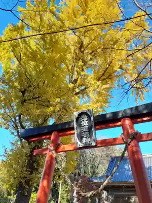 佐倍乃神社の鳥居