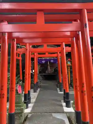 澤蔵司稲荷（慈眼院）の鳥居