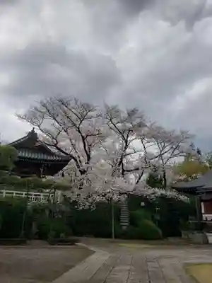 福蔵院(東京都)