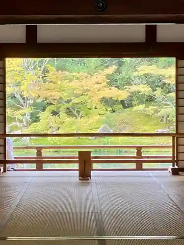 天龍寺の庭園