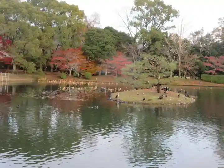 大覚寺(京都府)