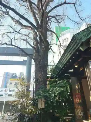 波除神社（波除稲荷神社）(東京都)