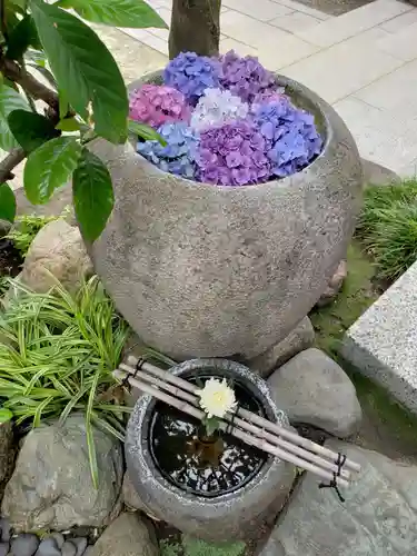 龍泉院の手水舎