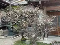 梅香寺(三重県)