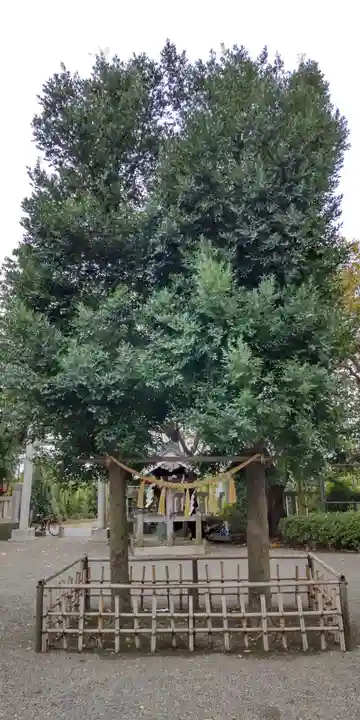 菅谷神社の自然