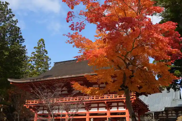 高野山金剛峯寺奥の院(和歌山県)