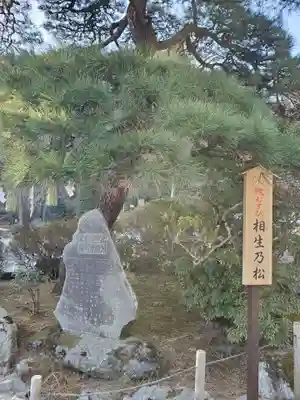 宝登山神社(埼玉県)