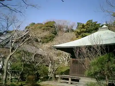 浄光明寺のその他建物