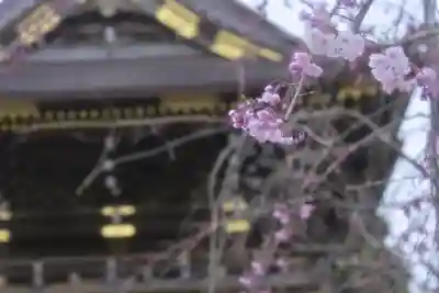 西新井大師総持寺(東京都)
