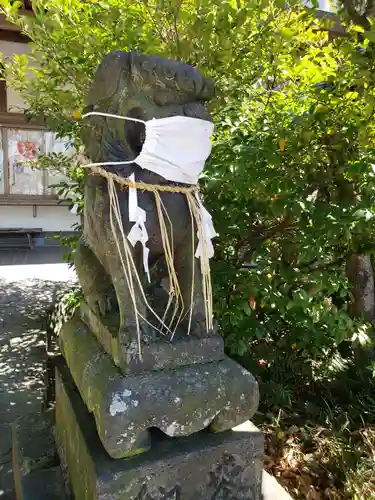 四山神社の狛犬