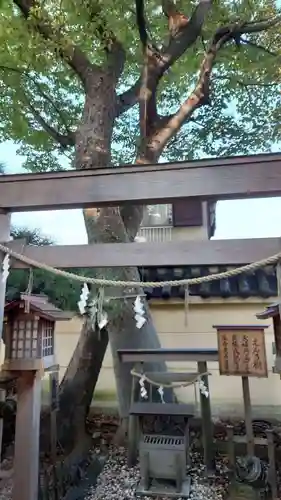 飛鳥神社（富田一色）(三重県)
