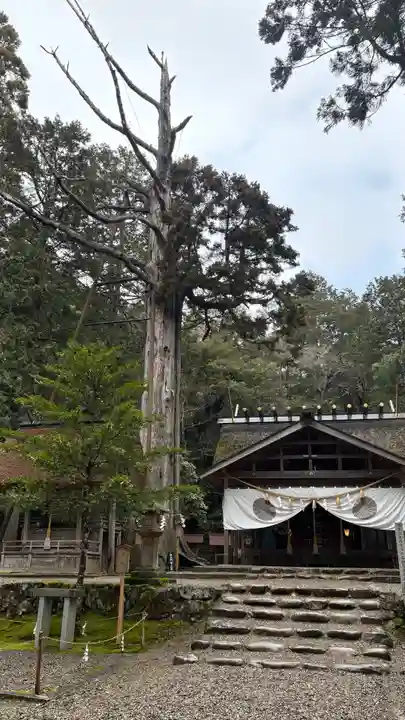 元伊勢内宮 皇大神社(京都府)