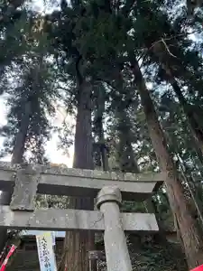 大宮温泉神社(栃木県)(2023年02月05日(日) 19時25分31秒投稿)