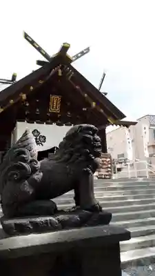 札幌諏訪神社の狛犬