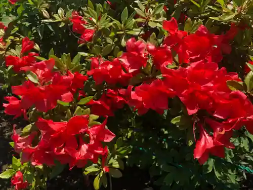 境香取神社の自然