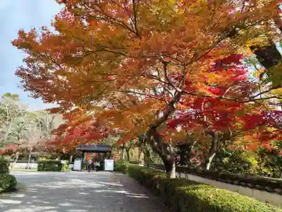 根来寺(和歌山県)