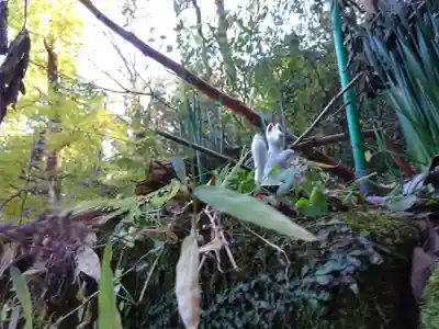 佐助稲荷神社の狛犬