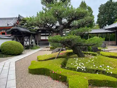 酒見寺(兵庫県)