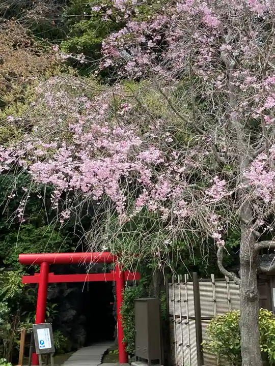 長谷寺(神奈川県)