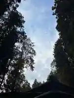 大宮温泉神社(栃木県)