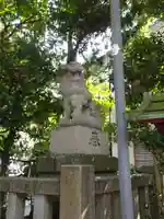 八雲神社(鎌倉・大町)の狛犬