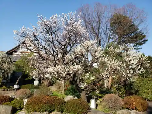 瑞円寺の景色