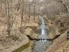 牛伏寺の自然