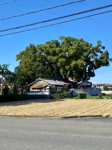 玉田神社の周辺