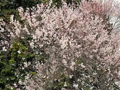 南宮大神社の自然