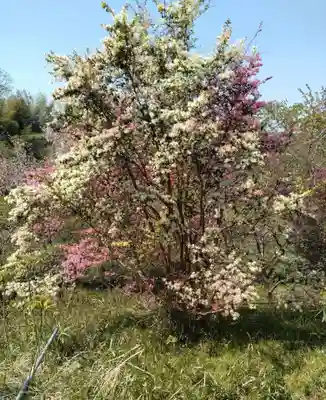 妙立寺(宮城県)