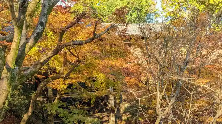 東福禅寺(東福寺)(京都府)