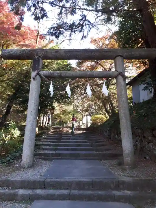 唐澤山神社の鳥居