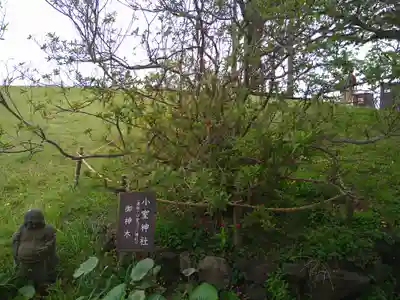 小室神社(静岡県)