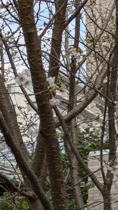 妙蓮寺(京都府)